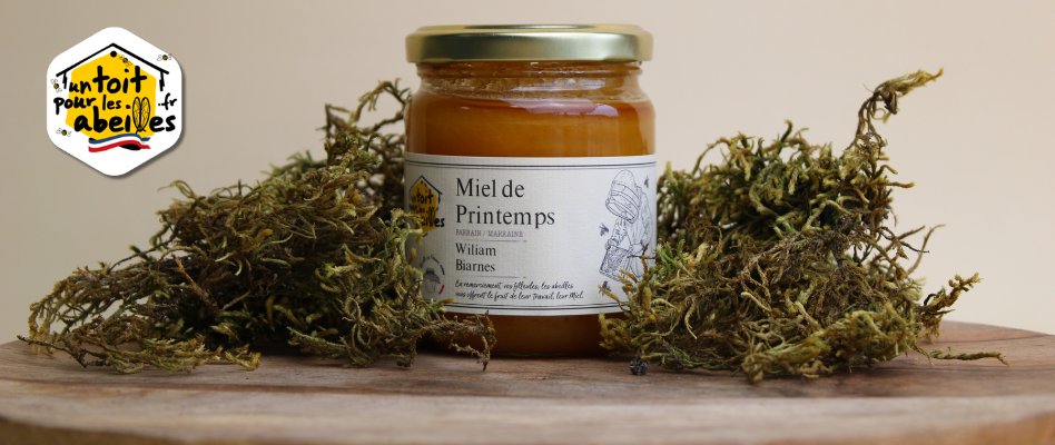 1ToitPourLesAbeilles tweet media