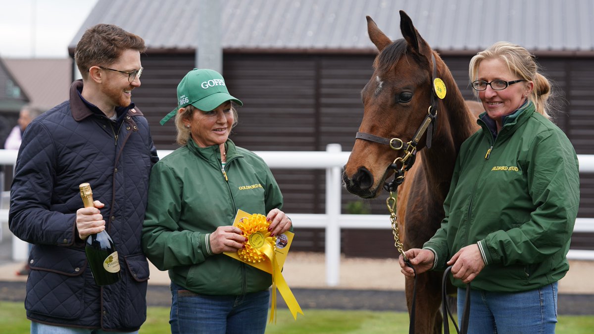 Goffs UK (@goffsuk) on Twitter photo Results from the Richard Aston Colts' Class at the British NH Breeders Showcase:
🥇Lot 22 - Crystal Ocean x Teesdale from Little Lodge Farm
🥈Lot 70 - Golden Horn x Monty's Mission from <a href="/ChapelStud/">Chapel Stud</a>
🥉Lot 28 - Nathaniel x Valleyofthedolls from <a href="/sallygoldford/">Sally Aston</a>
#GoffsShowcase Results from the Richard Aston Colts' Class at the British NH Breeders Showcase:
🥇Lot 22 - Crystal Ocean x Teesdale from Little Lodge Farm
🥈Lot 70 - Golden Horn x Monty's Mission from <a href="/ChapelStud/">Chapel Stud</a>
🥉Lot 28 - Nathaniel x Valleyofthedolls from <a href="/sallygoldford/">Sally Aston</a>
#GoffsShowcase
