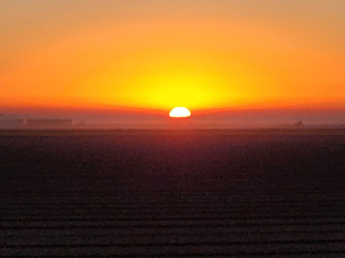 Sunrise in Yuma, Arizona 🌅 
#agriculture #produce #greens #familyfarm #agtech #VulcanAIweeder
