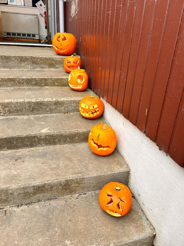 BowerSchool's tweet photo. Something Spooky is going on!! Mystery pumpkins have appeared overnight 🎃🎃 https://t.co/QqSQag4MtA