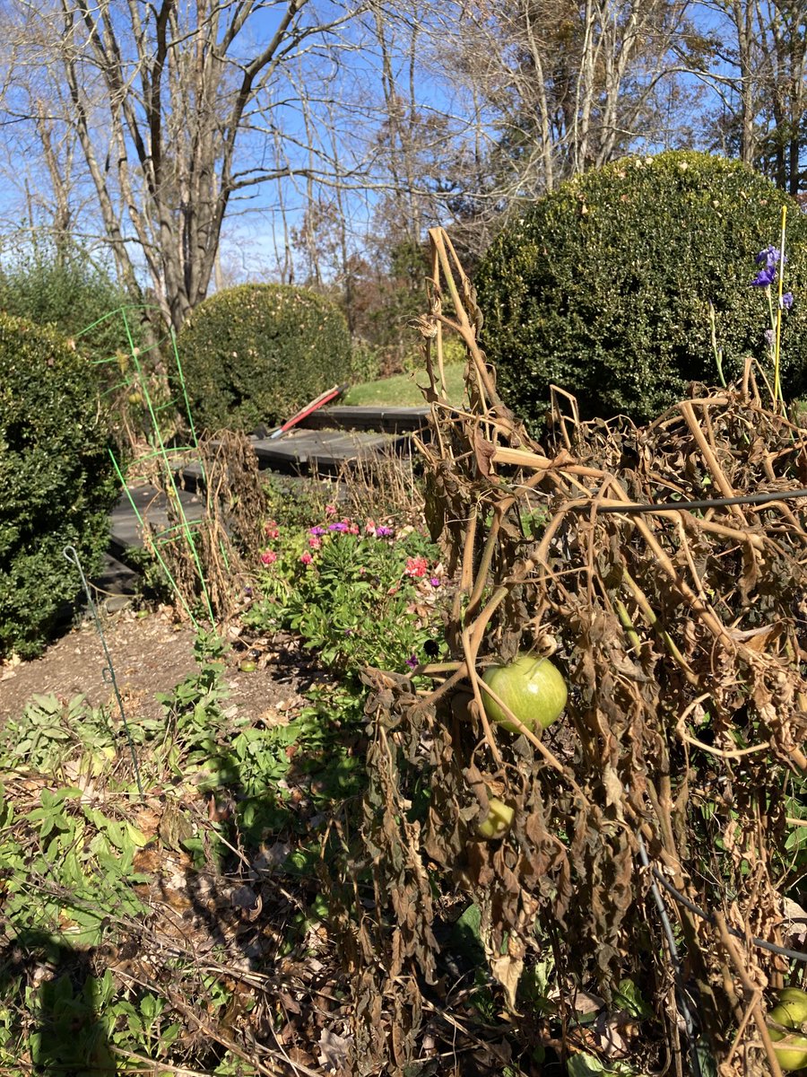 Autumn garden fills me with such melancholy