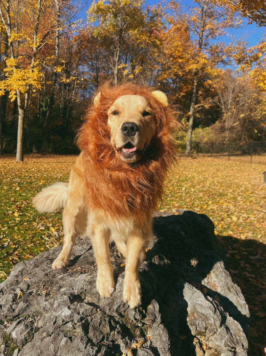 Clear Path for Veterans tweet media