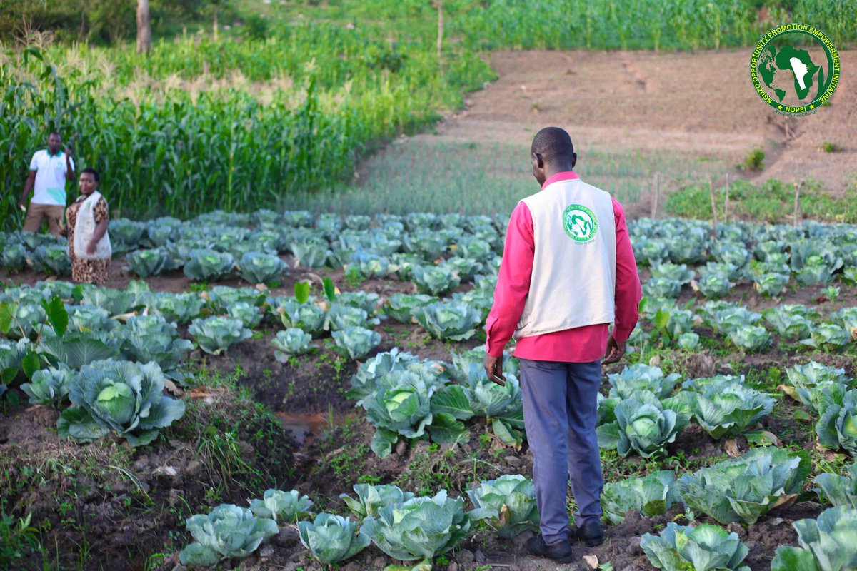 pad_africa's tweet photo. NOPEI, a refugee-led organization, partnership with different Groups to improve food security, health, and family well-being. Our programs focus on supporting refugees,especially pregnant women and children, to combat malnutrition and isolation. @Tomorrow_Vijana @WeAreCohere_Org https://t.co/LioGAKVDCB