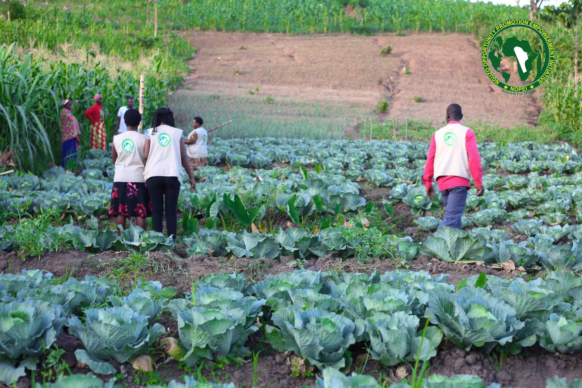 pad_africa's tweet photo. NOPEI, a refugee-led organization, partnership with different Groups to improve food security, health, and family well-being. Our programs focus on supporting refugees,especially pregnant women and children, to combat malnutrition and isolation. @Tomorrow_Vijana @WeAreCohere_Org https://t.co/LioGAKVDCB