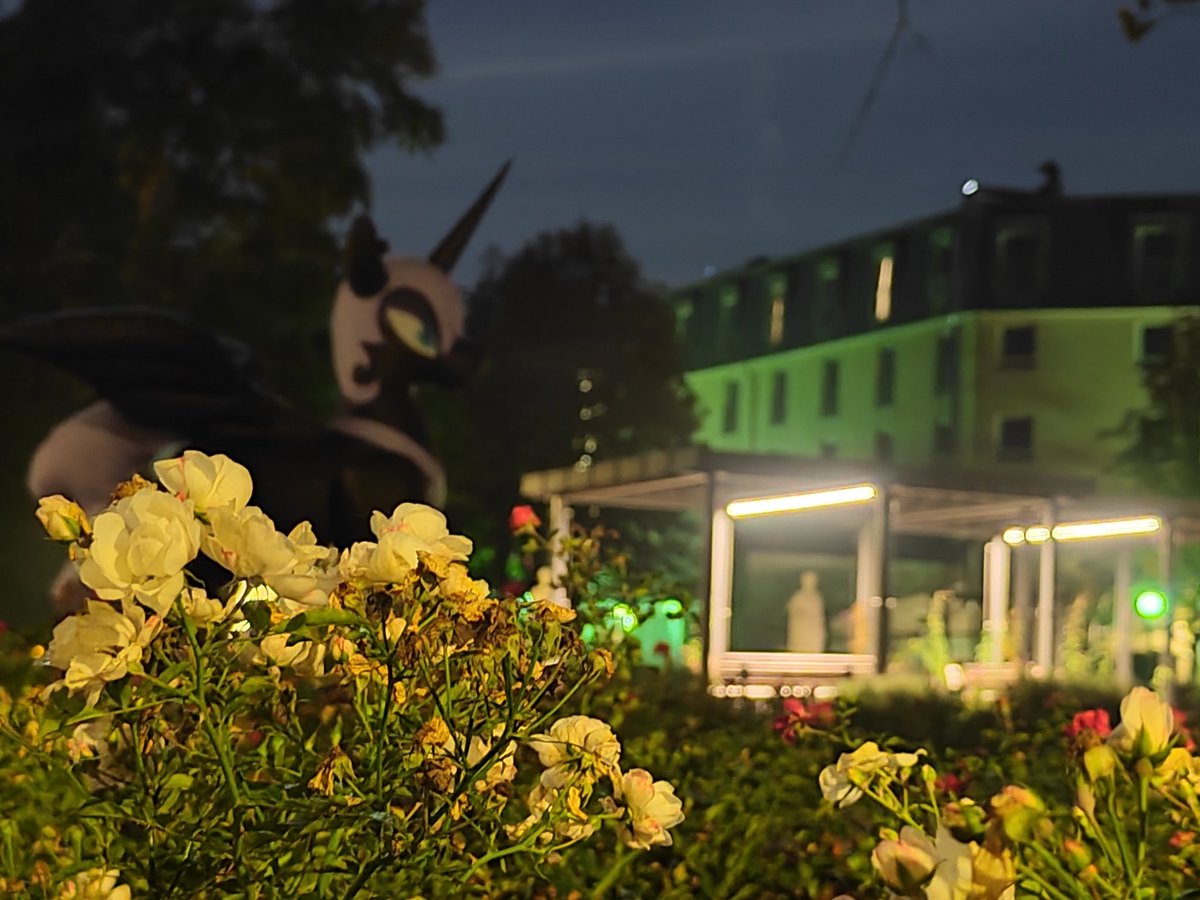 RaelegP's tweet photo. Happy Halloween , or in this case Nightmare night . This big inflatable hongyi pony visited with me Zwickau in Germany. https://t.co/PLRnHhZ2sZ
