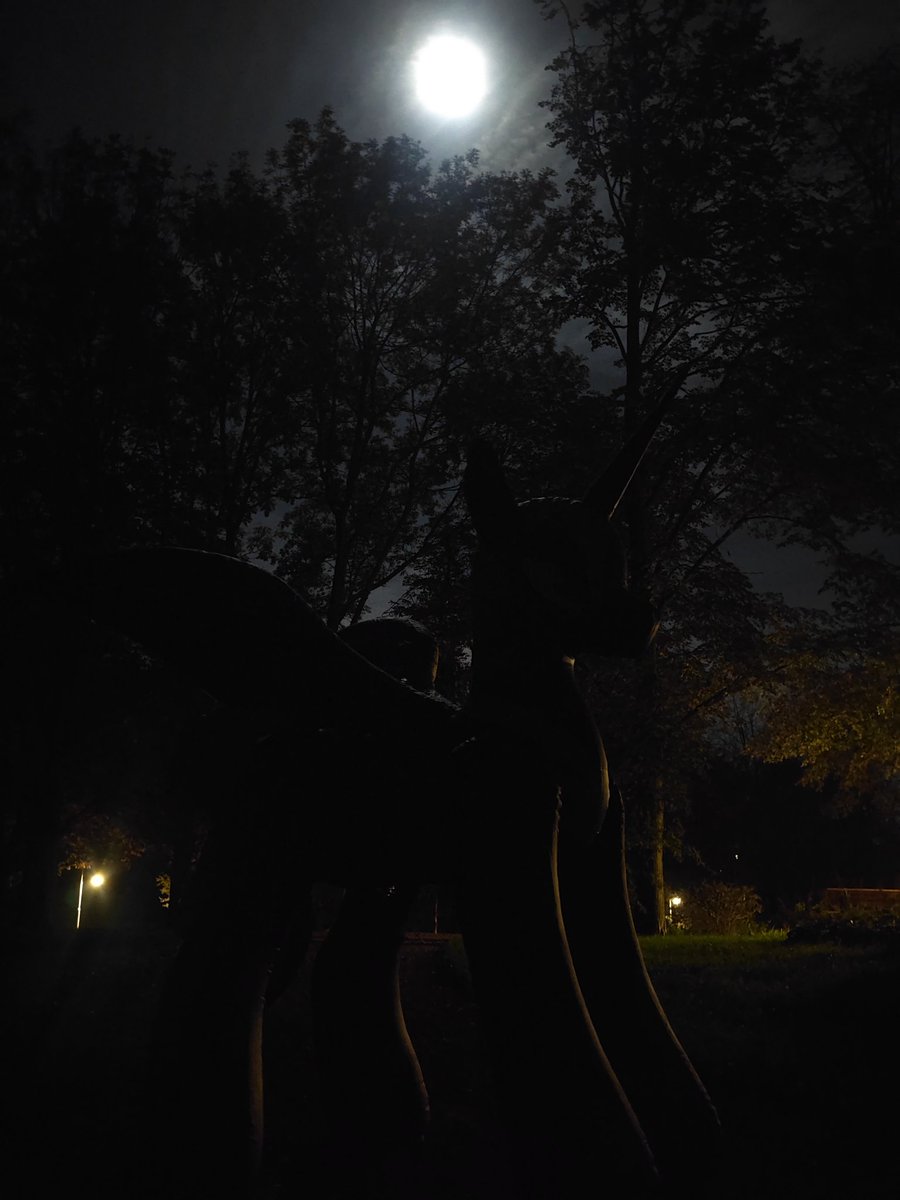 RaelegP's tweet photo. Happy Halloween , or in this case Nightmare night . This big inflatable hongyi pony visited with me Zwickau in Germany. https://t.co/PLRnHhZ2sZ