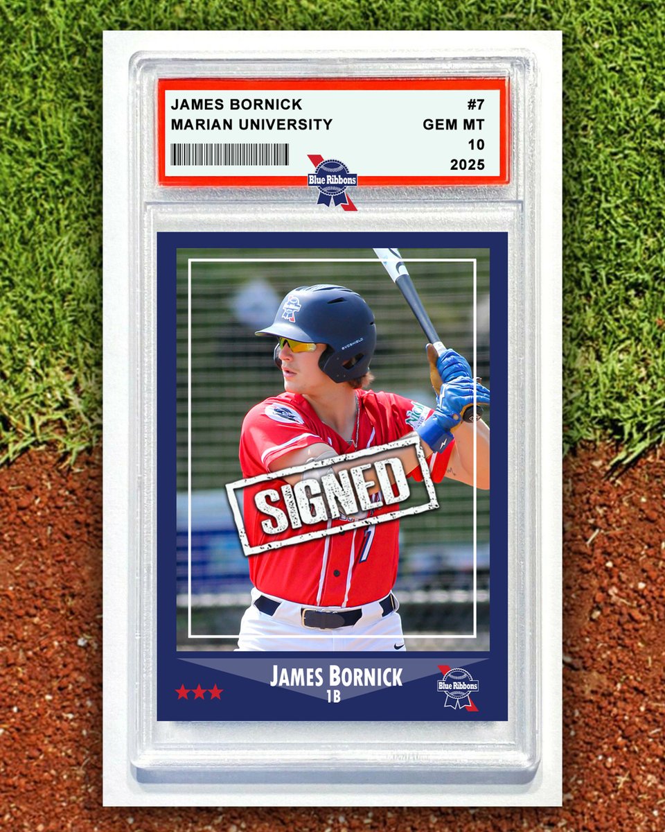 The 2025 signings are already rolling in, and our first one is a big one, with the return of slugger James Bornick!  The team's MVP in 2023 and Silver Slugger Award winner in 2024, Bornick has led the team in home runs in each of the last three seasons. Welcome back, James!