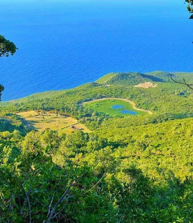 _samia_8's tweet image. محمية  جبل  شيطانة  سيدي  مشرق;  ببنزرت🇹🇳🌲🌲🌲  🌳 🌳#تونس_الخضراء