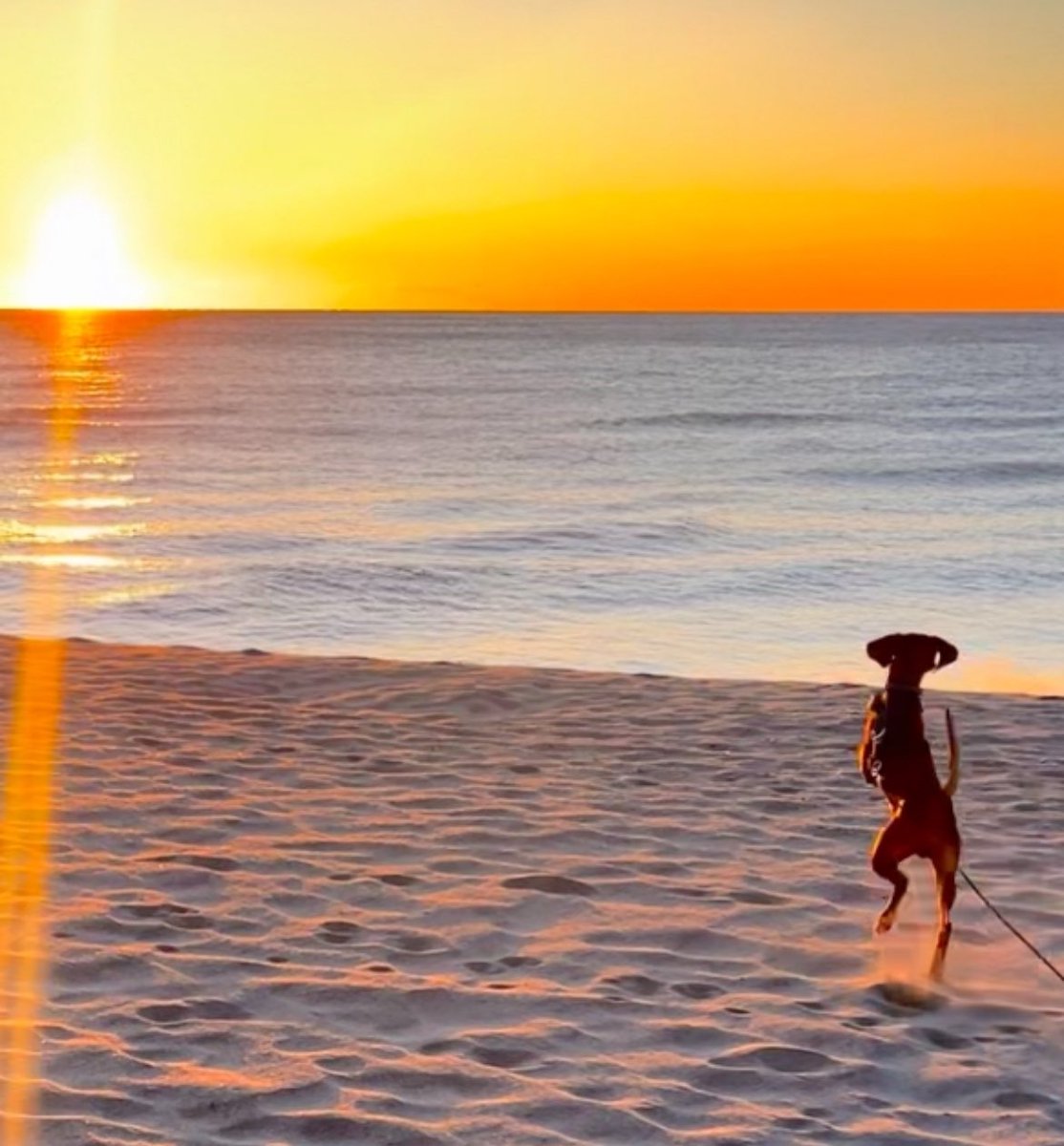 Marlowman tweet media