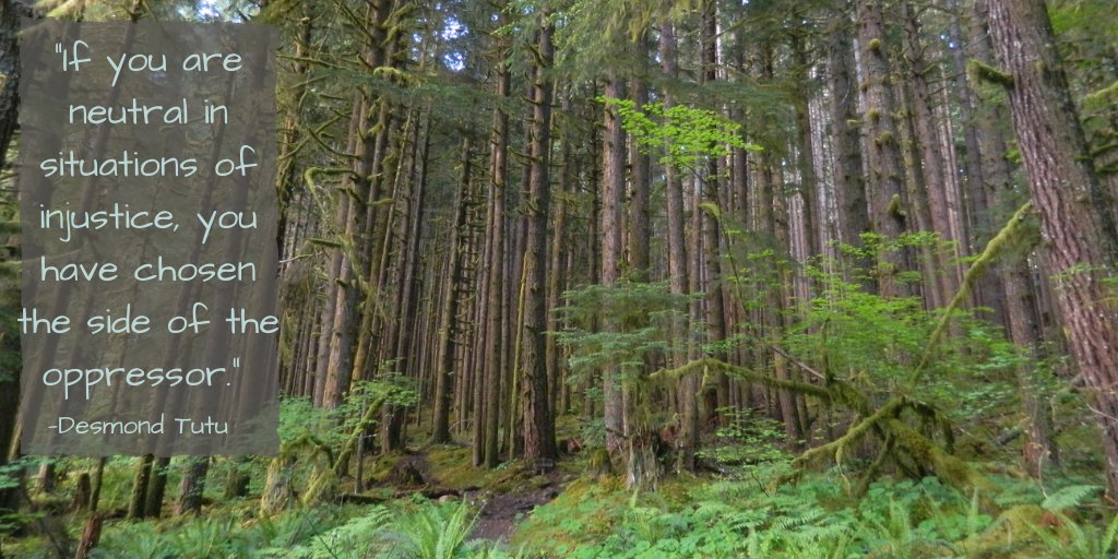 "If you are neutral in situations of injustice, you have chosen the side of the oppressor." ~Desmond Tutu #electionday2024 #ChooseKindness #KindnessMatters amzn.to/2STbrcK