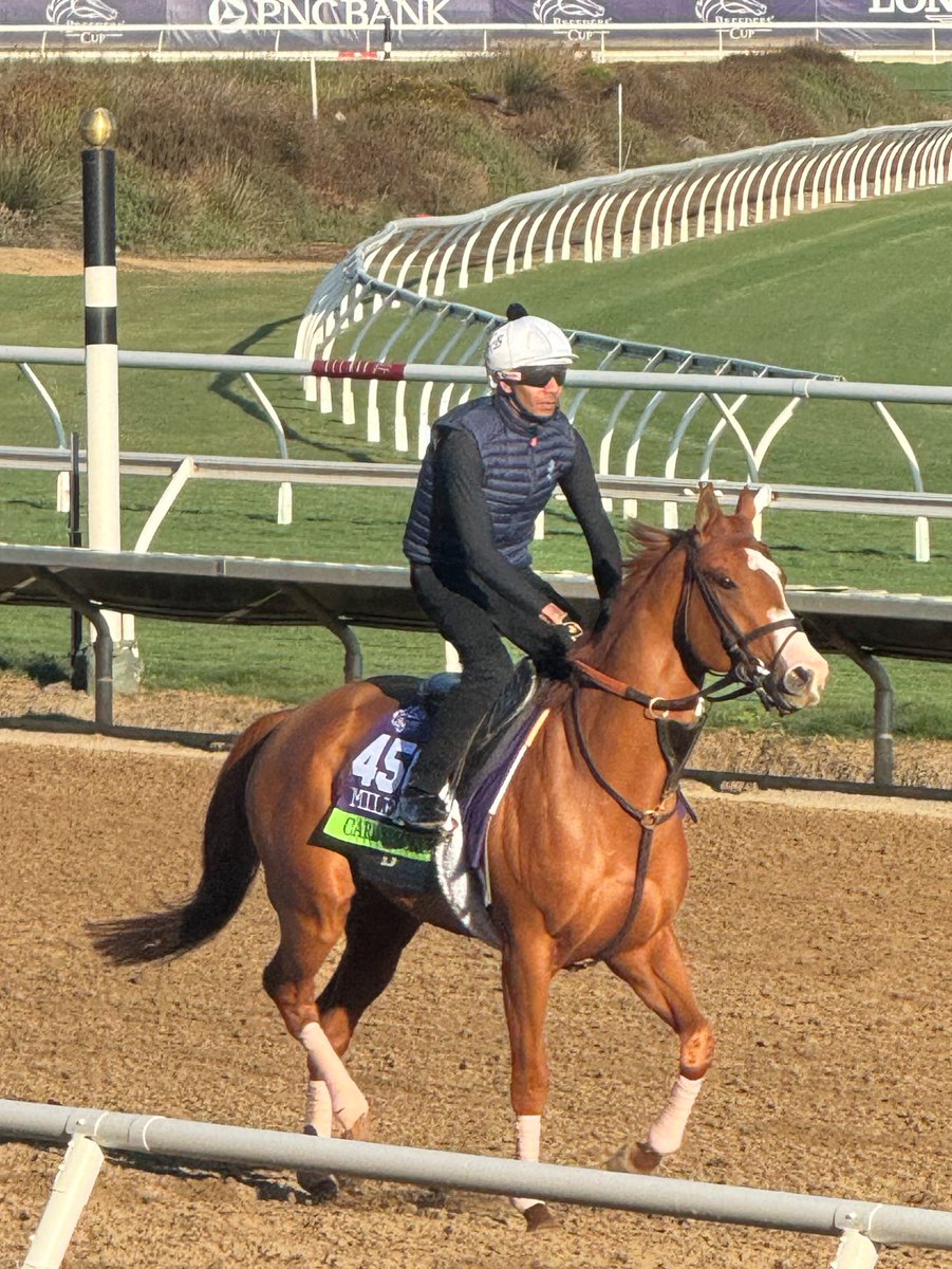 ALBERTO ETTEDGUI R. (@alett15) on Twitter photo 🏇 Impecable…!!!
CARL SPACKLER
<a href="/Tyler_Gaff/">Tyler Gaffalione</a> Chad Brown <a href="/e5Racing/">e Five Racing Thoroughbreds</a>
<a href="/BreedersCup/">Breeders' Cup</a> Mile 🏇 Impecable…!!!
CARL SPACKLER
<a href="/Tyler_Gaff/">Tyler Gaffalione</a> Chad Brown <a href="/e5Racing/">e Five Racing Thoroughbreds</a>
<a href="/BreedersCup/">Breeders' Cup</a> Mile