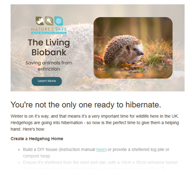 Our newsletter this month is full of tips to help hedgehogs as they go into hibernation. 🦔 🍂

To see the full list, sign up to our email newsletter at: eepurl.com/hFhG-j

📧 A few times a year, we'll be in contact  updates about what we've been up to.