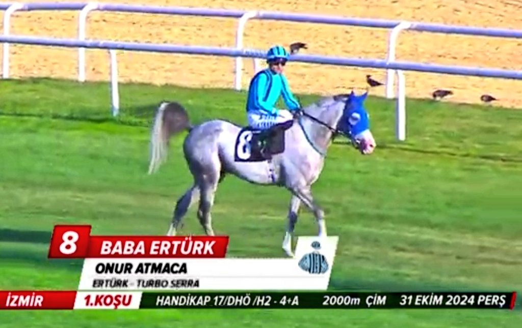 pride_falcon's tweet image. Mahçup etmeyen Rabbim'e şükürler olsun, eline emeğine sağlık @Sinanozenn biz çoktan inanmıştık ve başardık.
#BabaErtürk ❤️🐎💪🦅