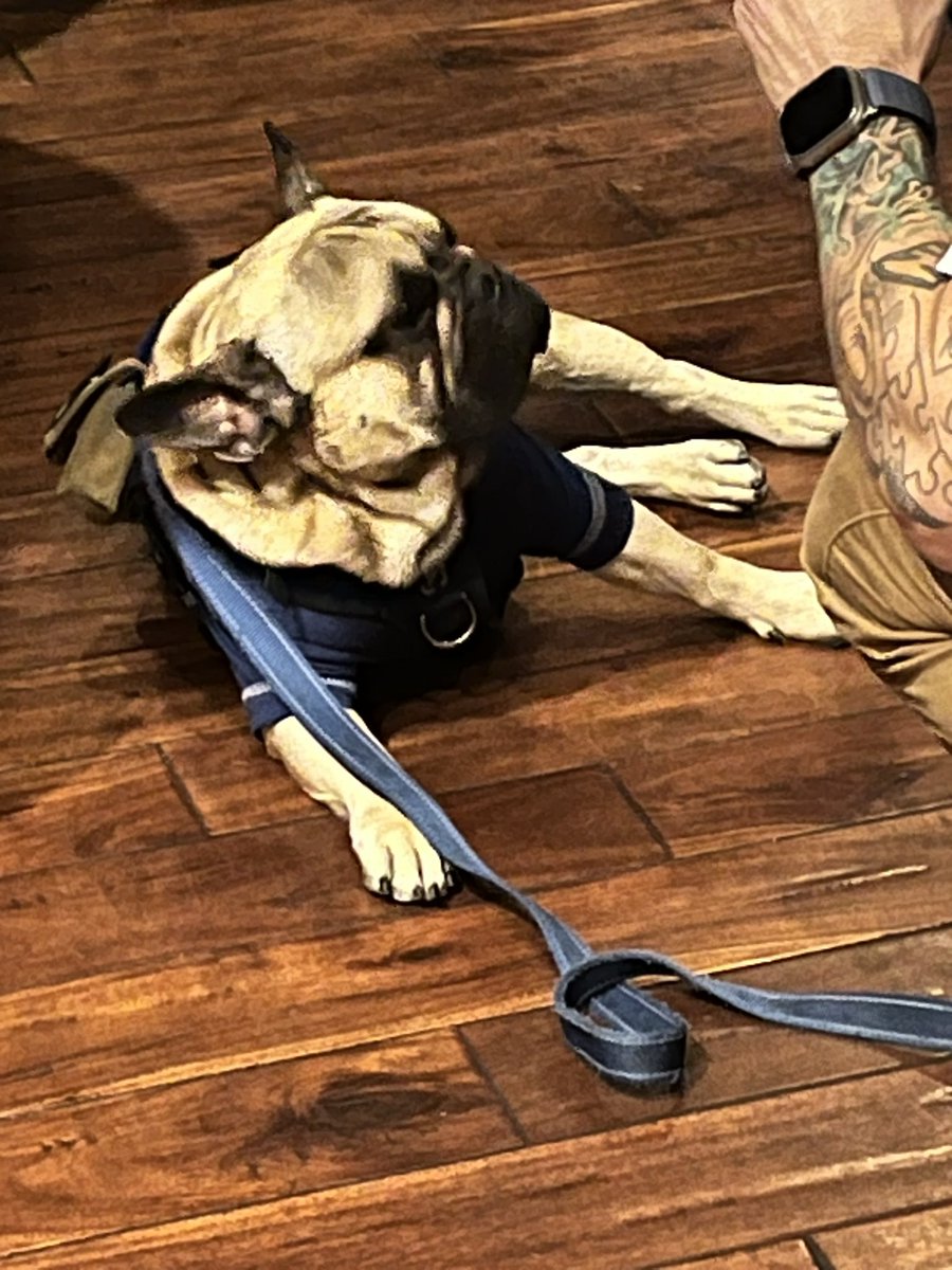 Stephen Shapiro tweet media