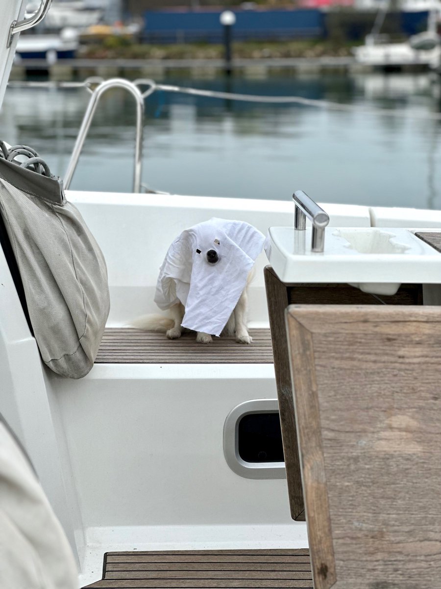 First Class Sailing⚓ tweet media