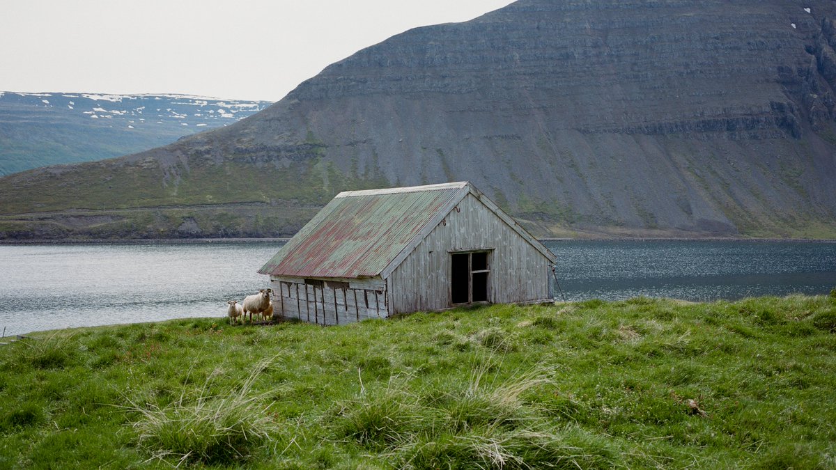 kristopher tweet media