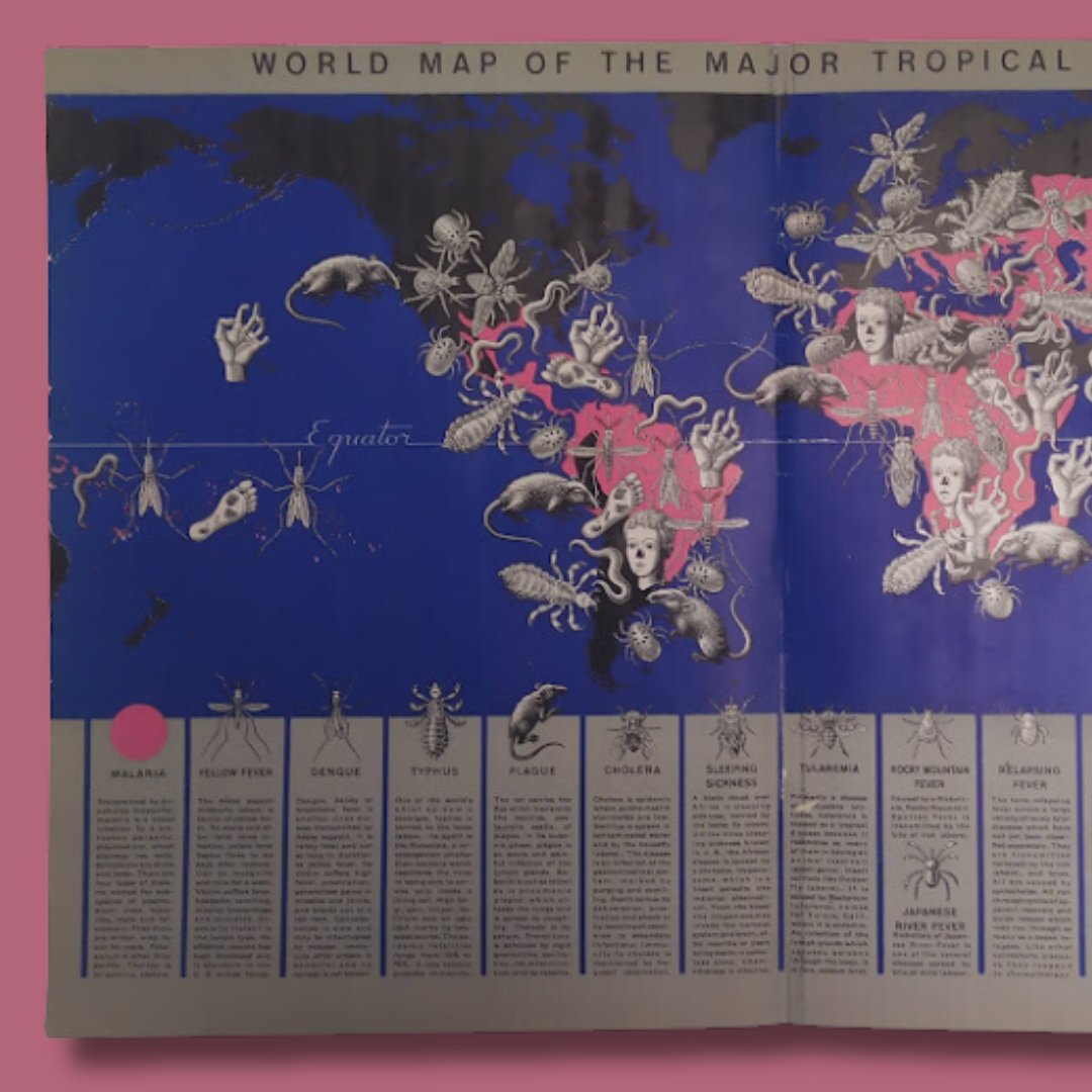 mapmapnmap's tweet image. 🎃 In the 1940s, the famous illustrator Boris Artsybasheff crafted a map of tropical nightmares! A world where terrifying creatures come to life: bloodthirsty tsetse flies, vicious ticks, and nightmare-inducing worms ready to strike
50x35 cm

Want to know more? Send me a message!