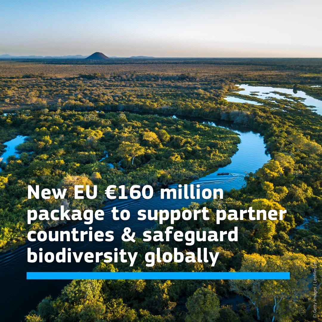 📣 BREAKING: 🇪🇺 delivers on its global financing commitments to protect nature at #COP16Colombia

The package of almost €160 million includes new initiatives aimed at supporting partner countries and safeguarding biodiversity globally 👉 europa.eu/!KjKTXP

#PeaceWithNature