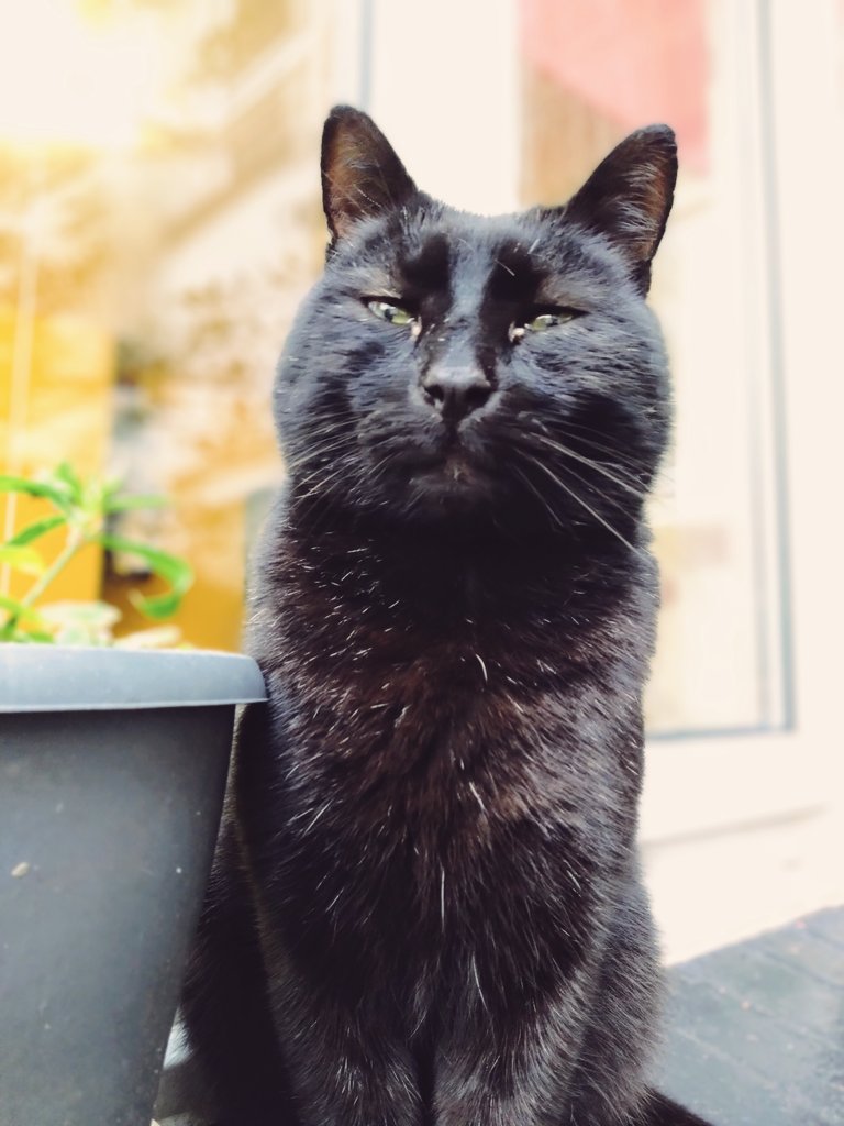 Happy Halloween 🎃