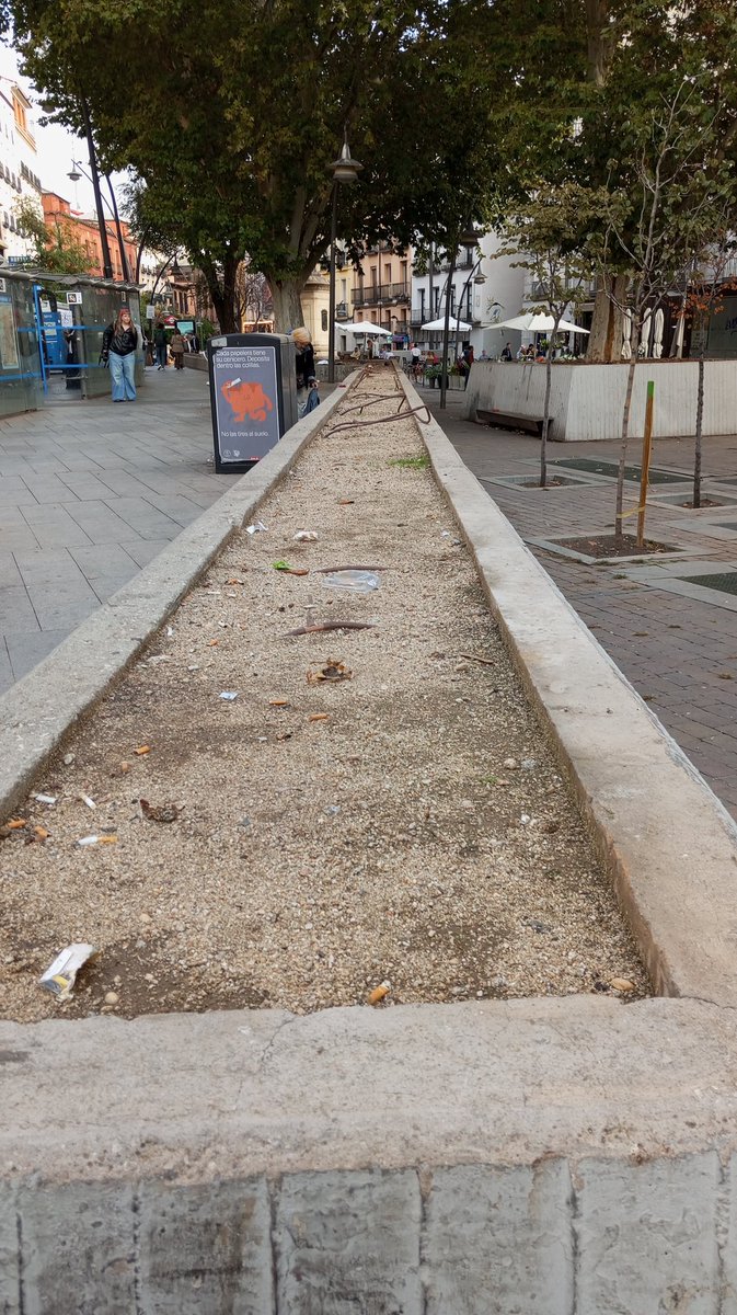 Lo de quitar las plantas en la Plaza de Tirso de Molina...un exito..está precioso..que digo yo q se podrian plantar arbustos no?