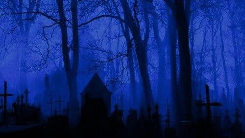 ฟ้าหนาว tweet media