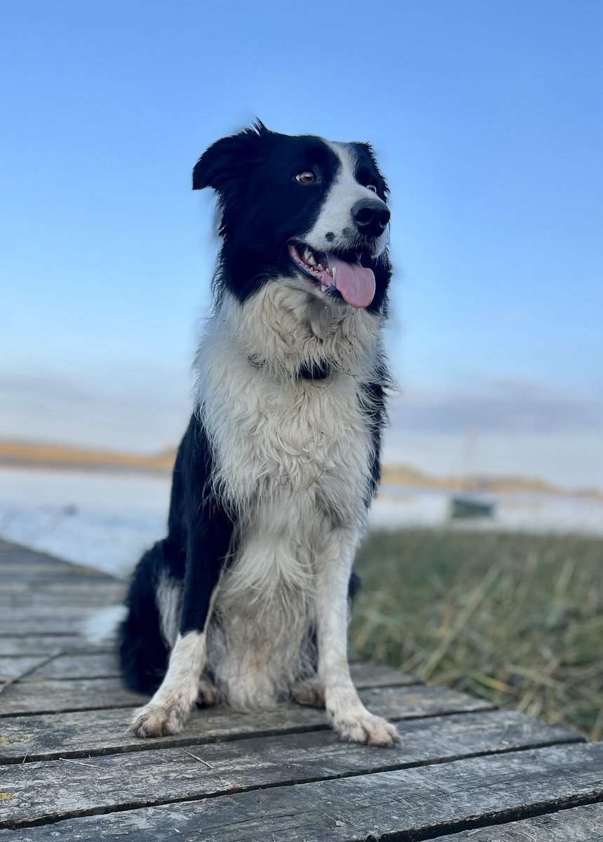 Happy Thursday everyone - I’m on hollibobs 😊😊