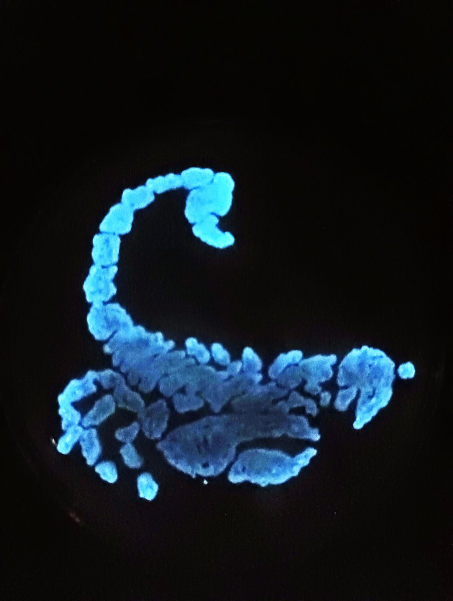 Michelle Williams tweet media