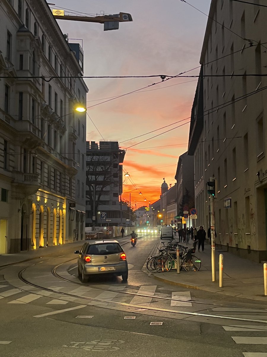 bettina eibel-steiner tweet media