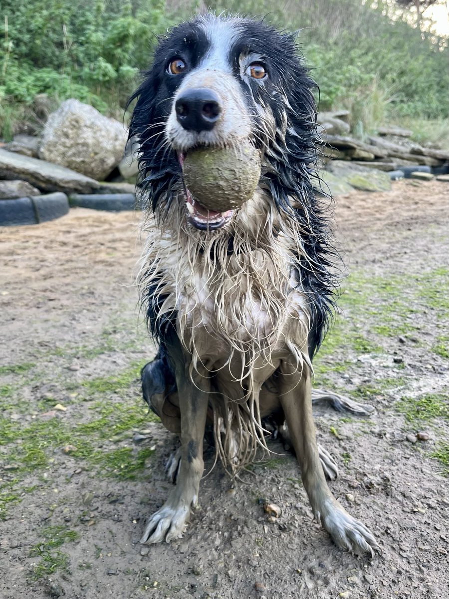 I got a bit muddy🎉🎉🥳🥳😎