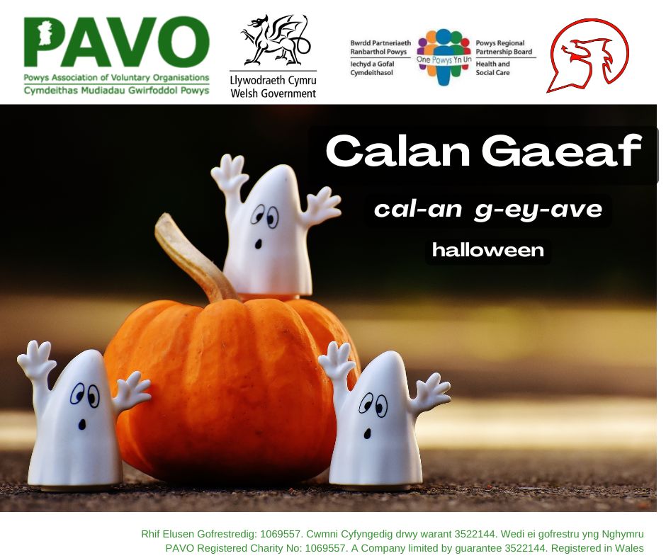 Calan Gaeaf Hapus! 
Here is this week's phrase 

#dysgucymraeg #ycynnigrhagweithiolpowys #theactiveofferpowys #CalanGaeaf
