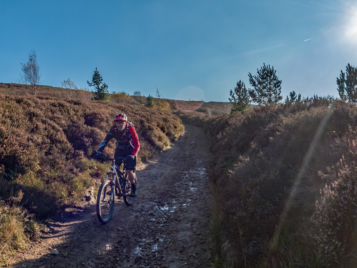 JLPhoto&Video tweet media