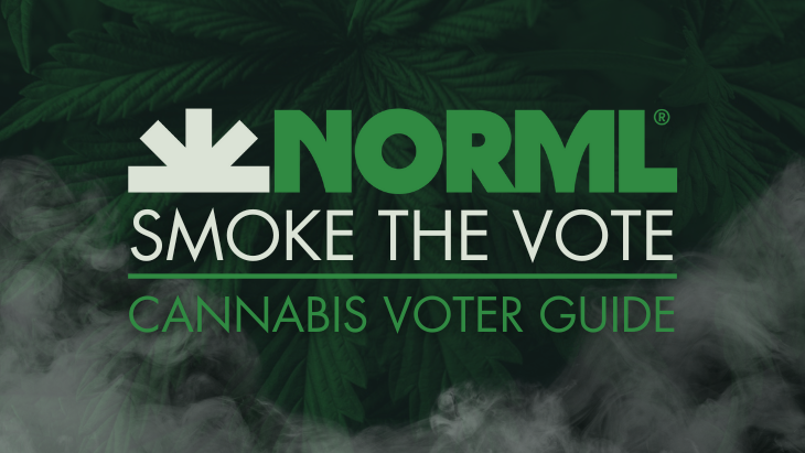 NORML's tweet photo. 🗳️ Elections have consequences. Make your plan to VOTE and be sure to check out @NORML's Smoke the Vote so you can be an informed cannabis voter! https://t.co/tylP0ab535 https://t.co/OxNMVs8gru