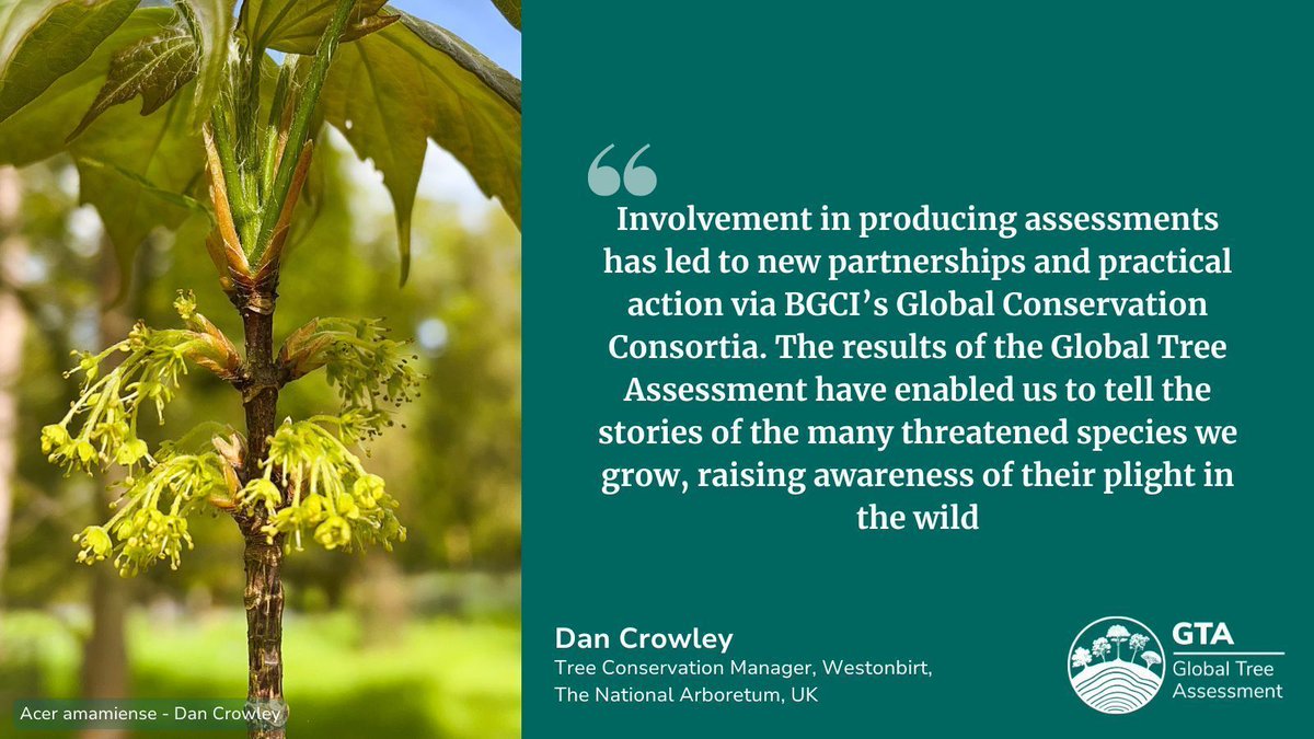 GlobalTreeAssessment tweet media