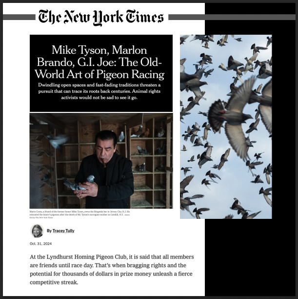jim_mcgreevey's tweet photo. NYT's @traceytully chronicles #MarioCosta, friend of #MikeTyson, who owns #RingsideWhiteMana in JC. Mario moved boxer’s pigeons after death of Mike's mother. Mario supports & hires our participants, Thanksgiving & Christmas dinners. He's the Real Deal. 👍
https://t.co/zEt3OP9hat https://t.co/Igtyh72wij
