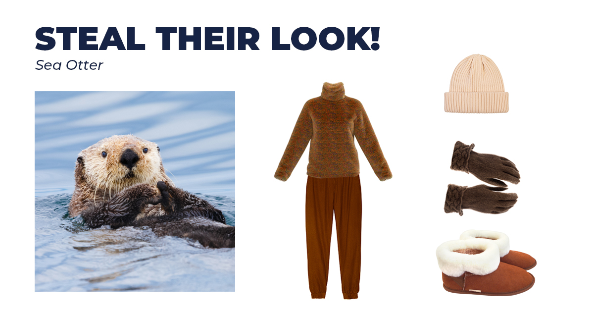 Fisheries and Oceans tweet media