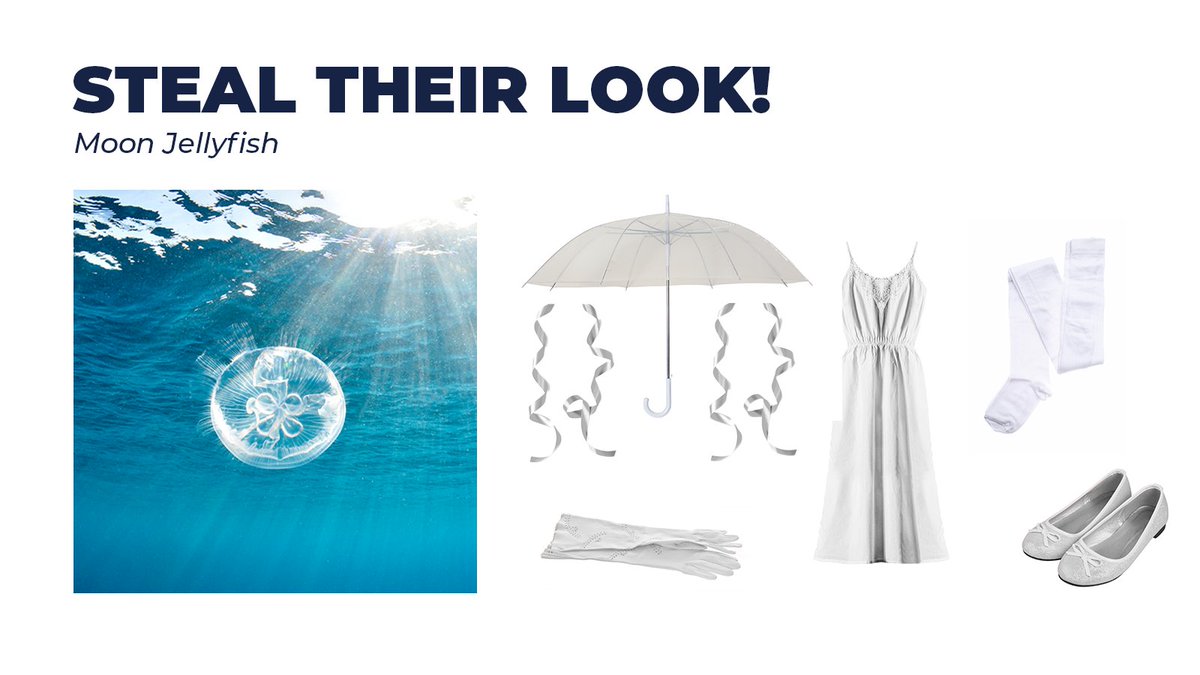 Fisheries and Oceans tweet media