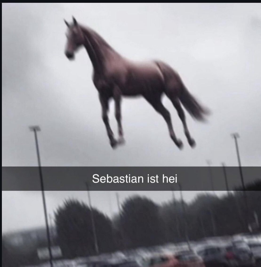 Sebbedcbaby777 tweet media