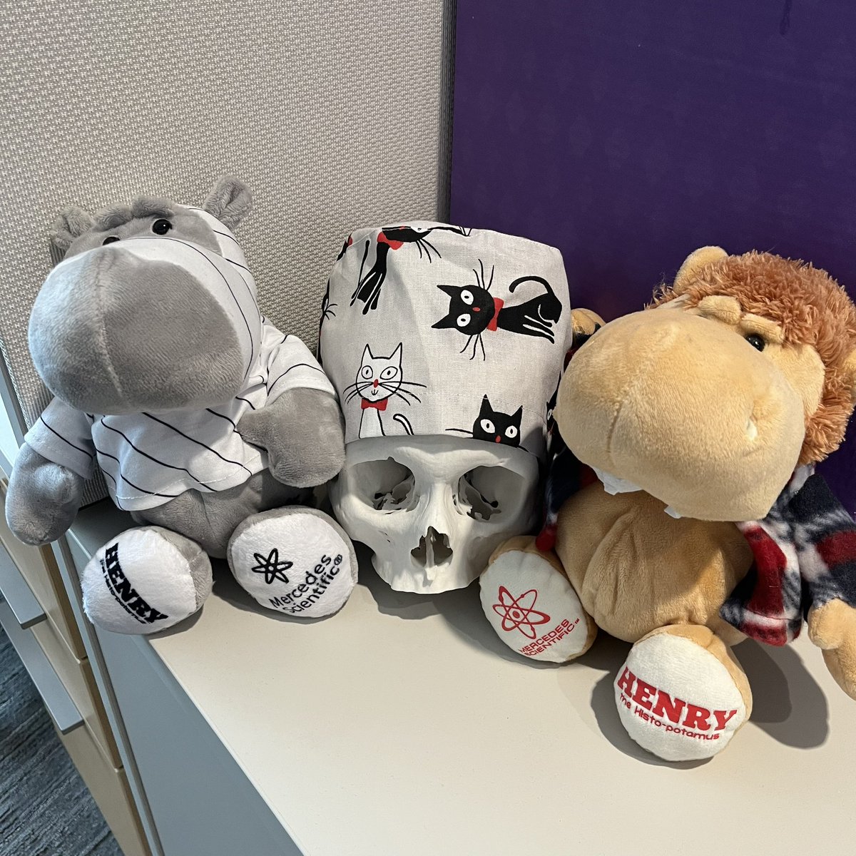 Happy Halloween from the Nervous System Tumor &amp; Tissue Bank! 🎃🐈‍⬛💀

#NSTB #spookyseason <a href="/NeurosurgeryNM/">Neurosurgery at NM</a> <a href="/ResearchNU/">NorthwesternResearch</a> <a href="/NUFeinbergMed/">Northwestern Feinberg School of Medicine</a> <a href="/BrainTumorInst/">Malnati Brain Tumor Institute at Northwestern</a> <a href="/LurieCancer/">Lurie Cancer Center</a>