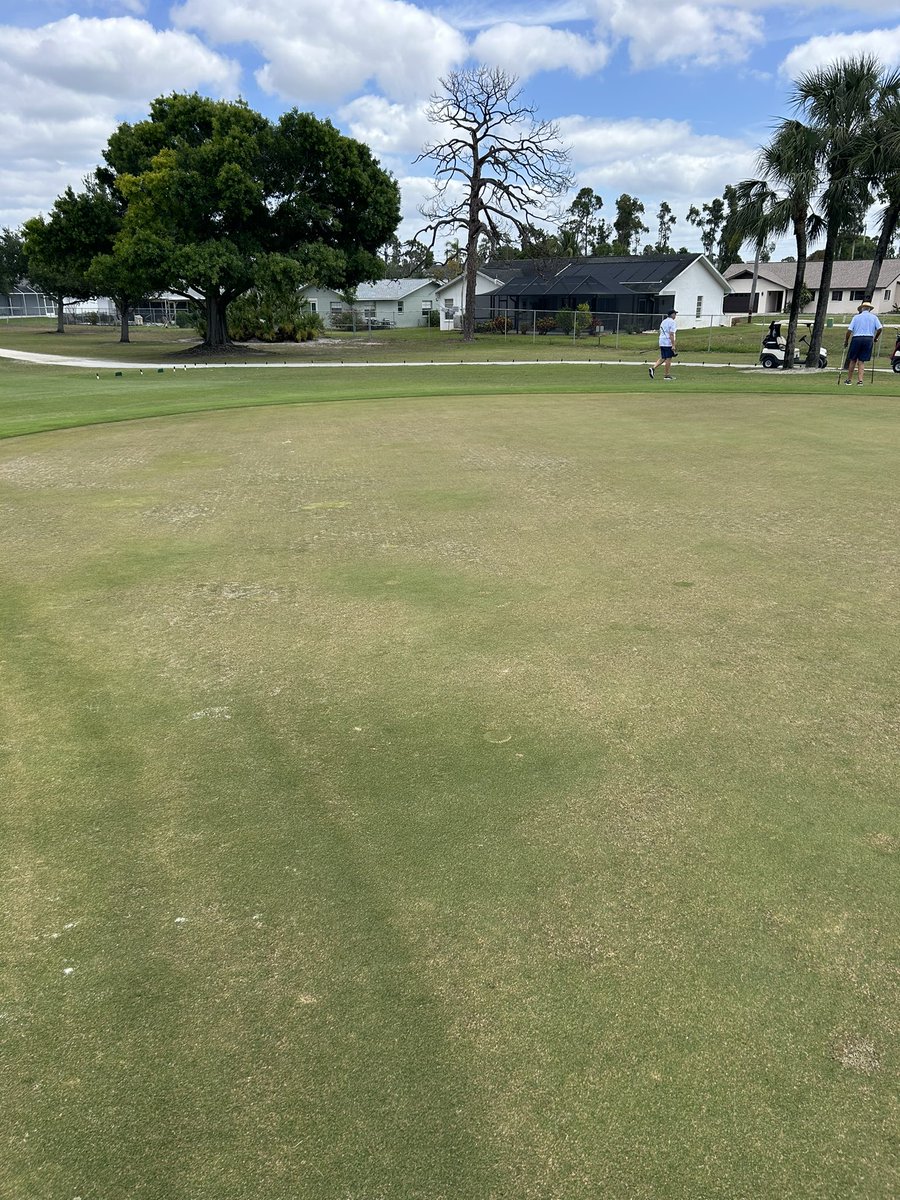 Dave Ferrin tweet media