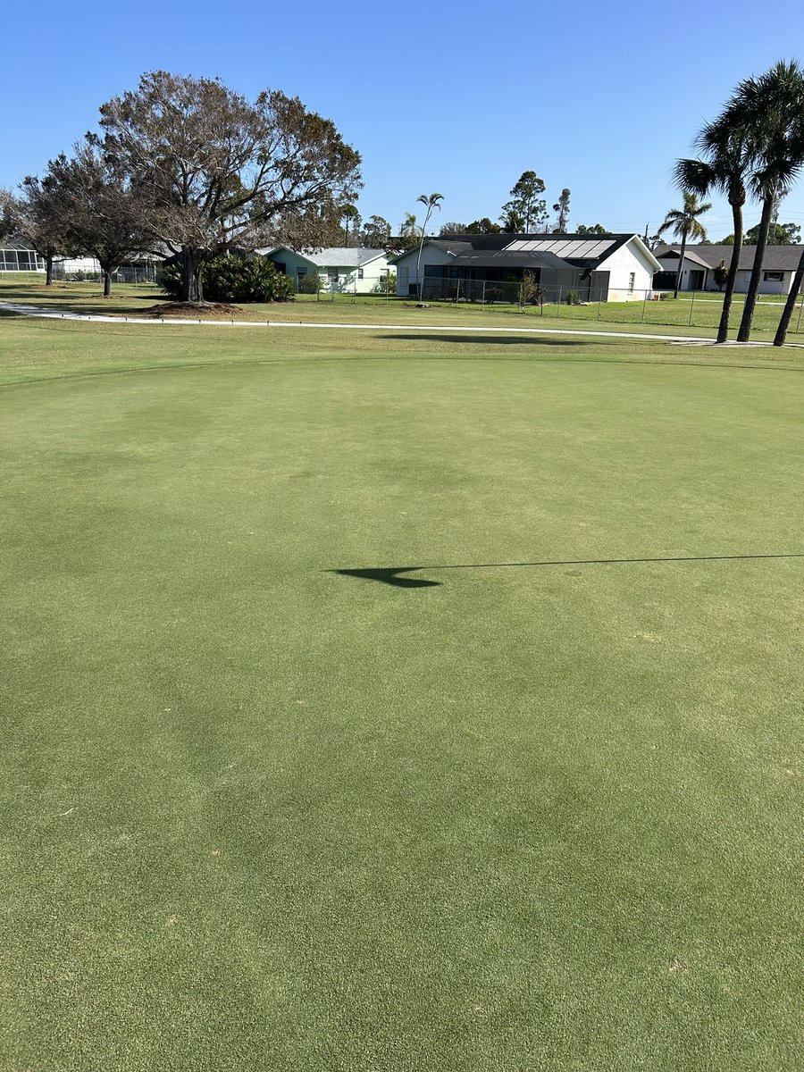 Dave Ferrin tweet media