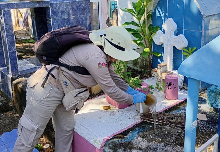 Panteones combaten proliferación de moscos al previo al Día de Muertos dlvr.it/TFwhgQ