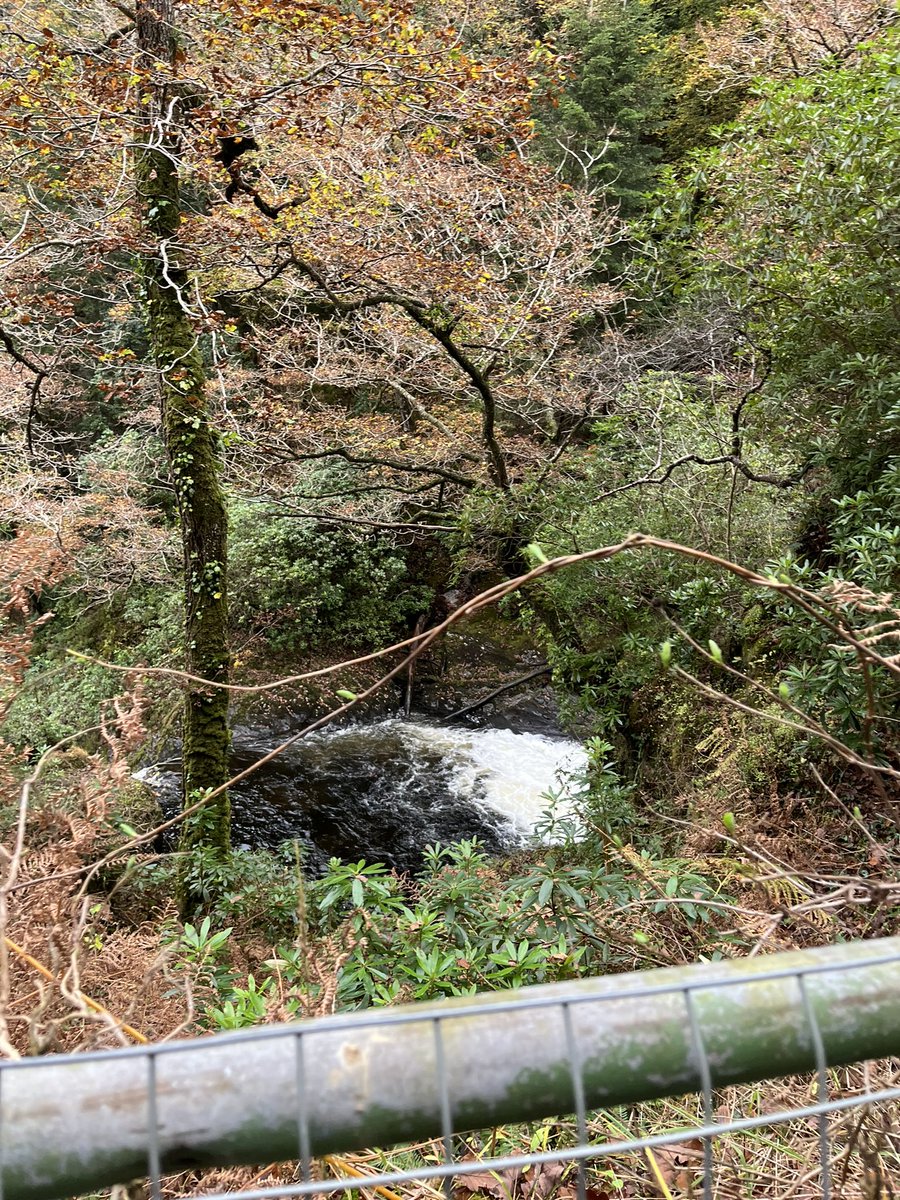 Such a beautiful walk today.