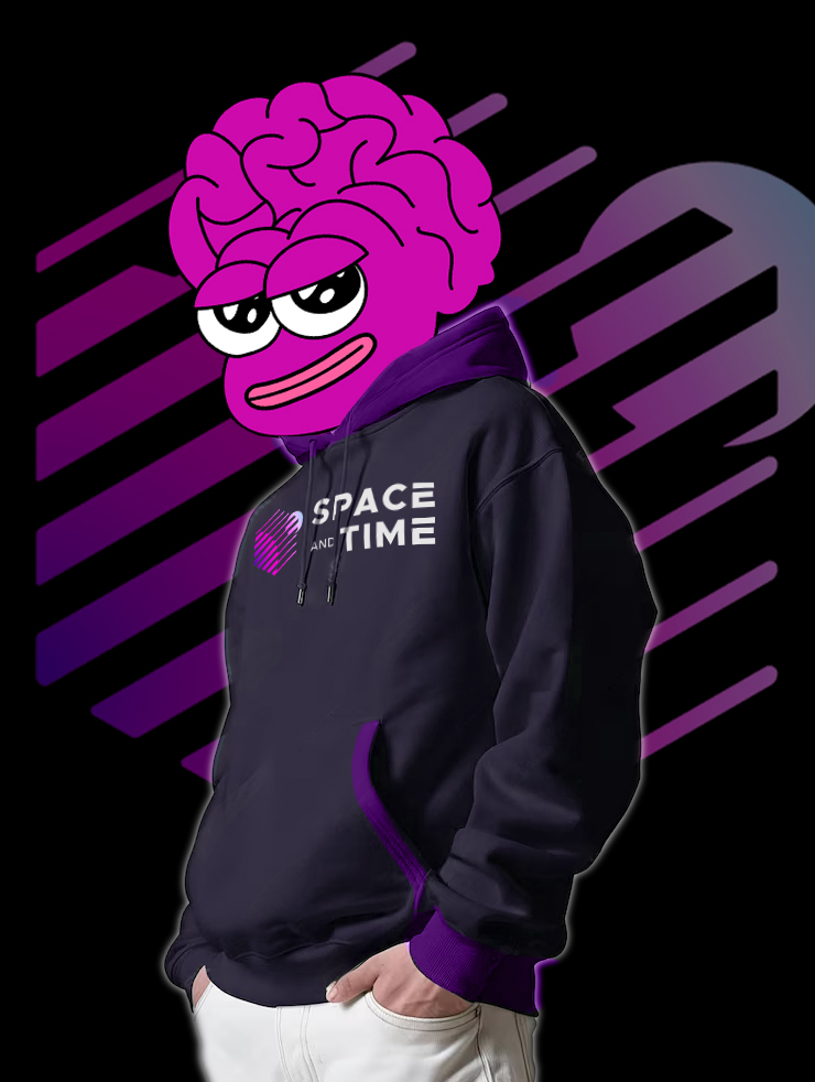 My merch design for SXT 🛰️🌌

Hoodie~ 🧥
@SpaceandTimeDB