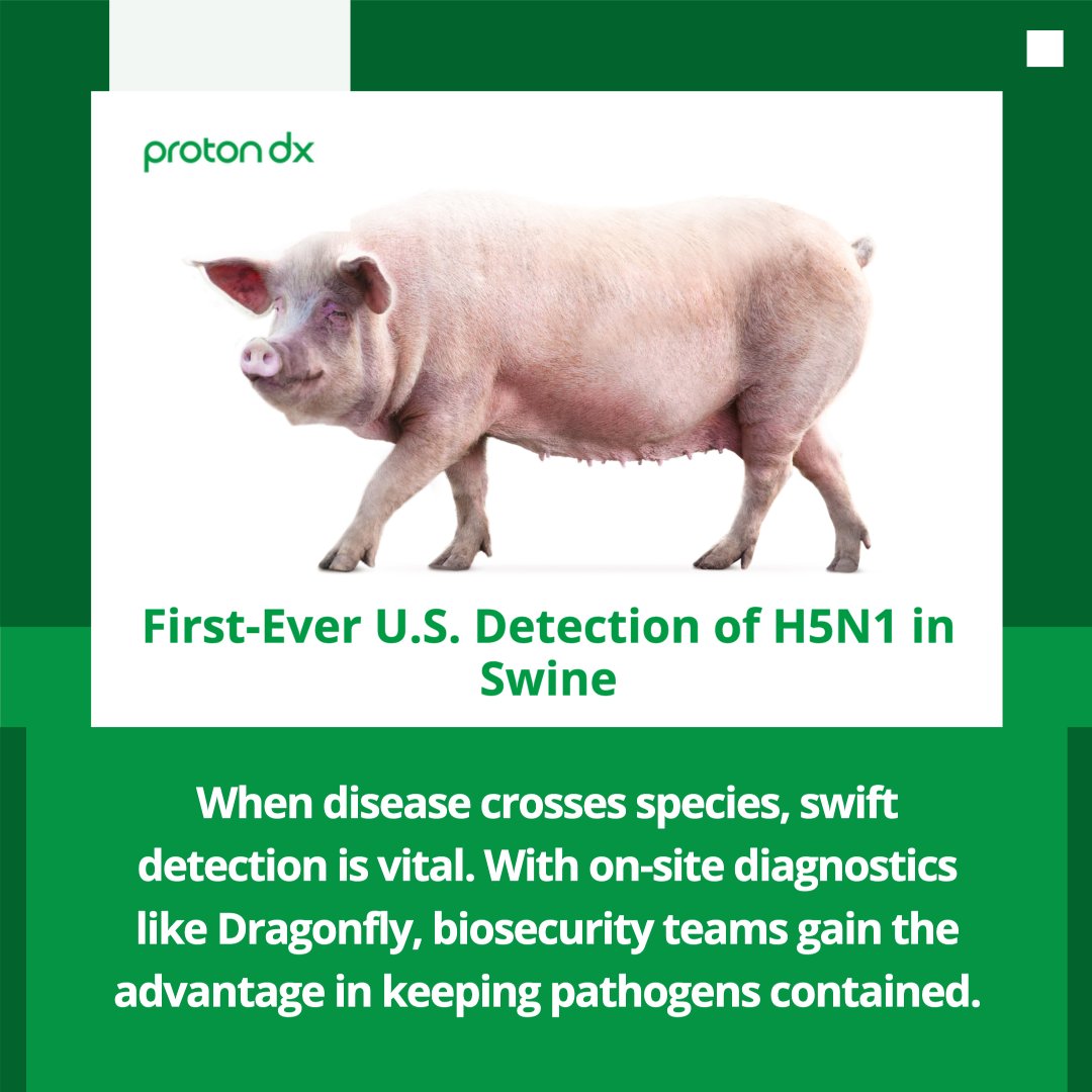 🚨 USDA Confirms First H5N1 Detection in Swine 🐖

The first case of H5N1 in U.S. swine, found on a mixed-species farm in Oregon, signals increased biosecurity risks and the need for vigilant disease monitoring in animal agriculture. Keeping livestock safe means staying ahead of
