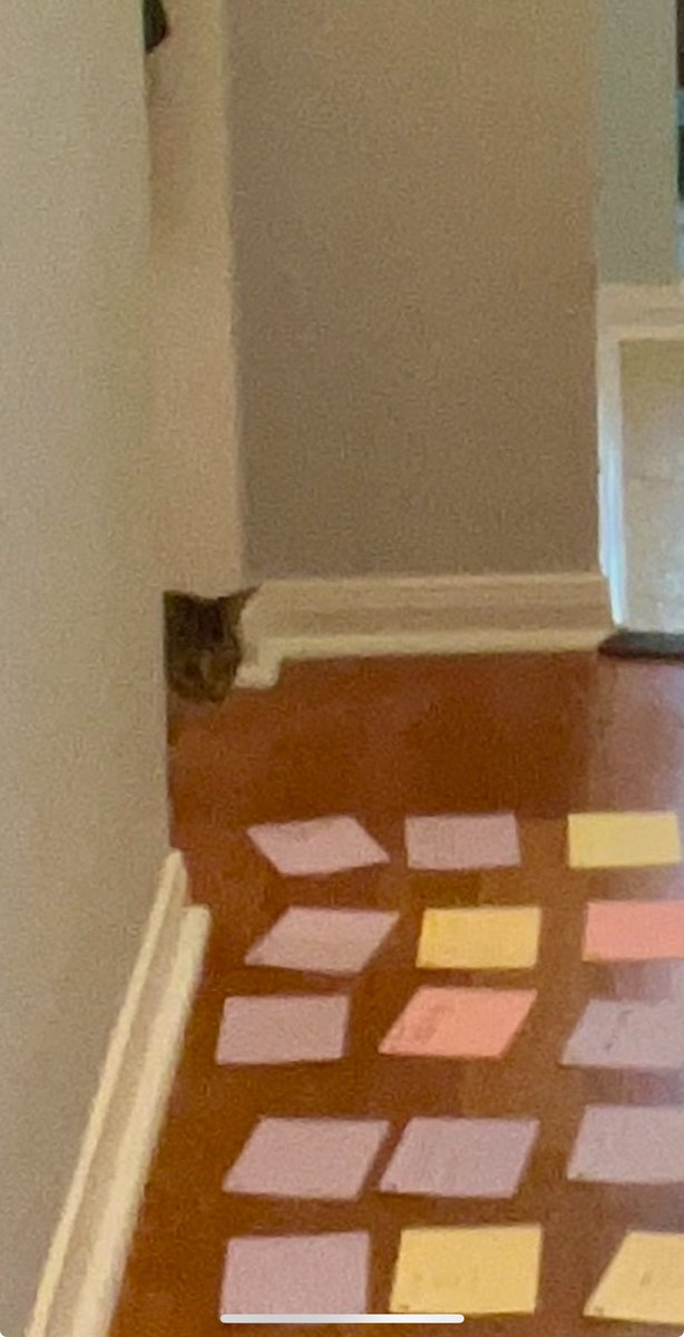 Rachel J. Wilkinson (@raejwilkinson) on Twitter photo I was going to share my traditional “YOU ARE HERE” pic for Clawmoor Heights (you should absolutely go listen), but instead I’m going to love on this little sneak. His name is DeVere, and he is the shyest of cats. But also go listen to the audio drama! <a href="/BrilliantRuinIP/">Our Brilliant Ruin</a> I was going to share my traditional “YOU ARE HERE” pic for Clawmoor Heights (you should absolutely go listen), but instead I’m going to love on this little sneak. His name is DeVere, and he is the shyest of cats. But also go listen to the audio drama! <a href="/BrilliantRuinIP/">Our Brilliant Ruin</a>