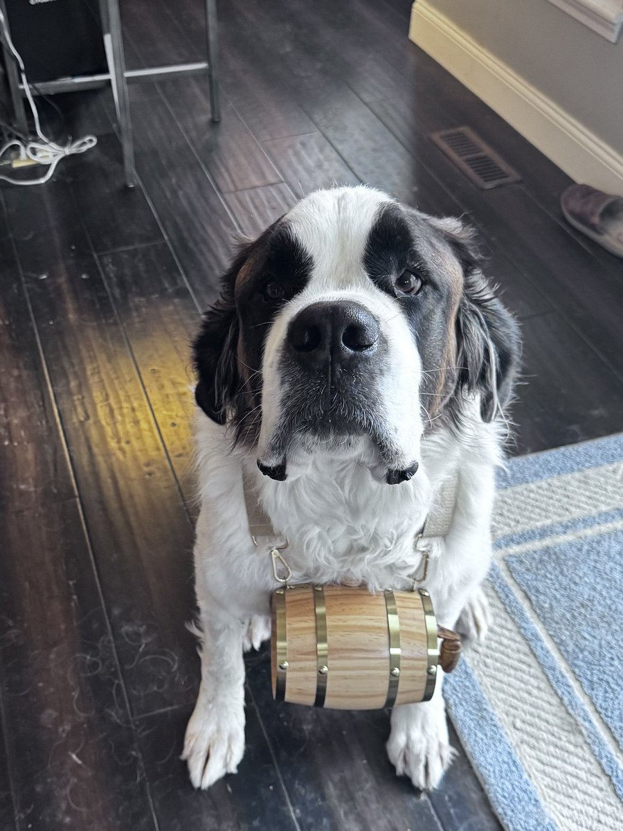 Dave Growl tweet media