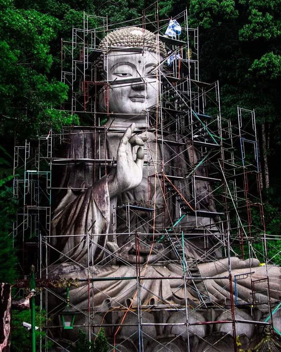 “We can never obtain peace in the outer world until we make peace with ourselves. “