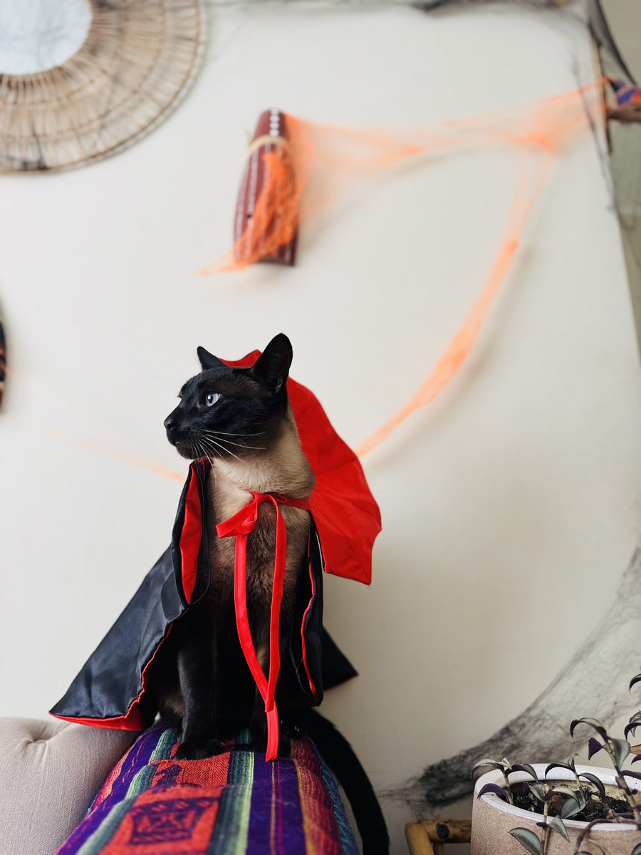 vannesaavedraz's tweet image. #Spooktober2024 🎃 👻