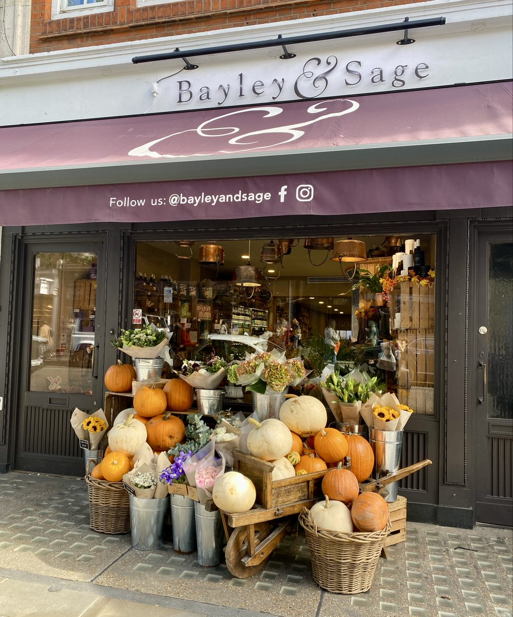 Pure Maple tweet media