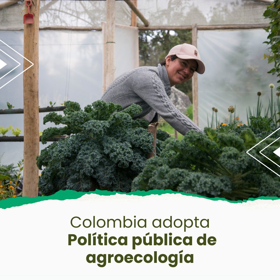 SWISSAID Colombia tweet media